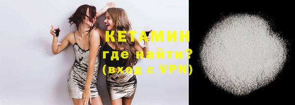 шишки Арсеньев