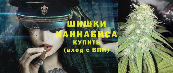 шишки Арсеньев