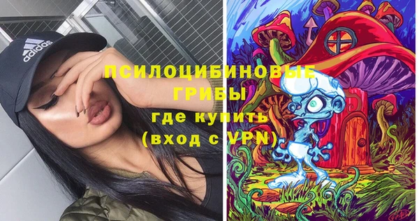 шишки Арсеньев