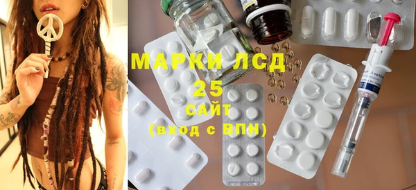 шишки Арсеньев