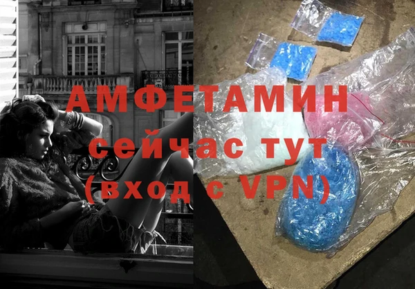 шишки Арсеньев