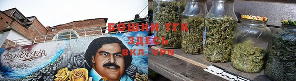 шишки Арсеньев