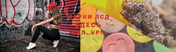 шишки Арсеньев