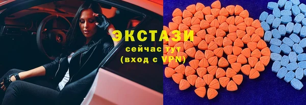 шишки Арсеньев